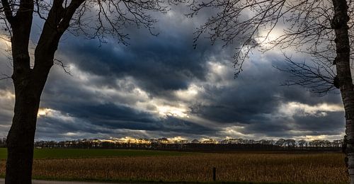 Soleil du soir à Veldhoven