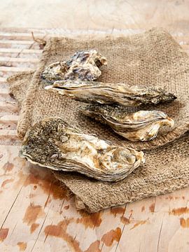 Oysters by Liesbeth Govers voor Santmedia.nl
