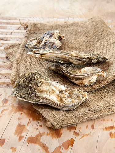 Oysters