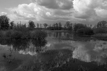 Reflection of clouds and trees van Wytze Plantenga