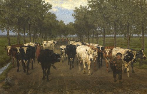 De Meersstraat in Gent, Xavier De Cock