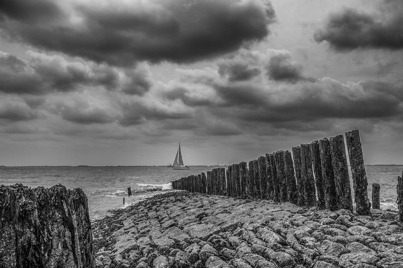 western Scheldt by anne droogsma