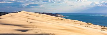 Panorama Dune du Pilat in Frankrijk van Werner Dieterich