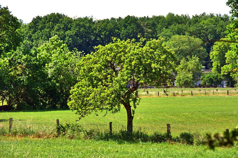 Dortmund 89 van Edgar Schermaul