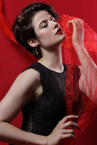 Omhuld door Rood – Fine Art Portretfotografie