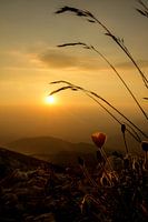 Sonnenuntergang auf dem Mont Ventoux
