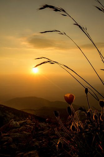 Sunset on the Mont Ventoux