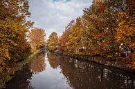 Fluss Geul in Wijlre von Rob Boon Miniaturansicht