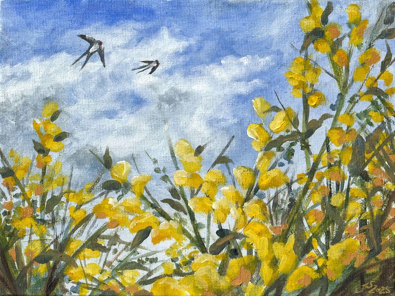 Broom blossom with swallows by Jessica Schmitz