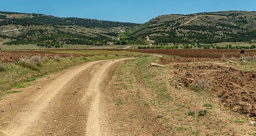 Ga je mee verdwalen.....