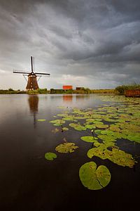 Schlechtes Wetter bei den Windmühlen in Kinderdijk