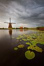 Schlechtes Wetter bei den Windmühlen in Kinderdijk von Halma Fotografie Miniaturansicht