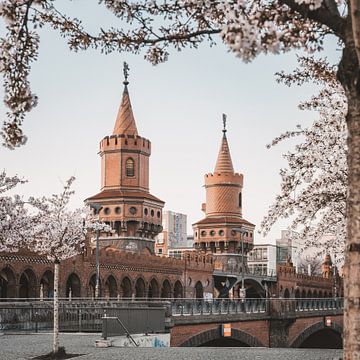 Kersenbloesem op de Oberbaumbrücke van swc07