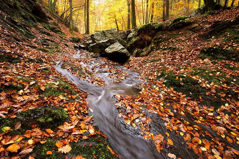 Ninlingspo in de herfst van Jarno van Bussel