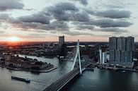 Goodmorning Rotterdam - Sunrise cityscape photo print -Erasmus bridge & de Rotterdam The Netherl by Elise van Gils thumbnail