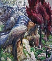 Australian Landscape