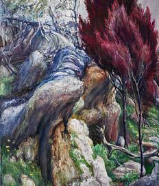 Australian Landscape