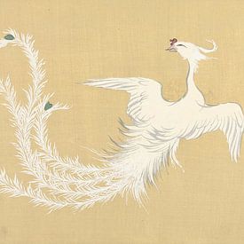 White phoenix by Kamisaka Sekka, 1909 by Gave Meesters