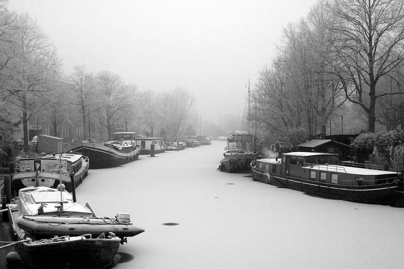 Noorderplantsoen in de Winter 4 van Ronald Hulsebos