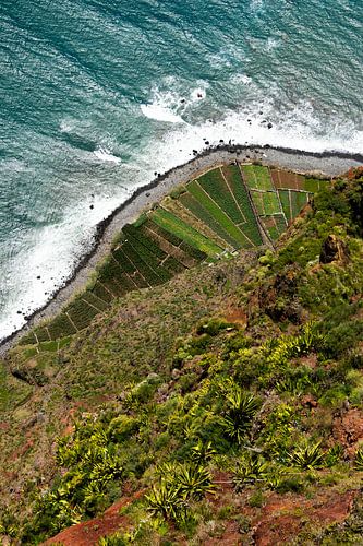 Cabo Girão - Câmara de Lobos, Madère sur Nynke Altenburg
