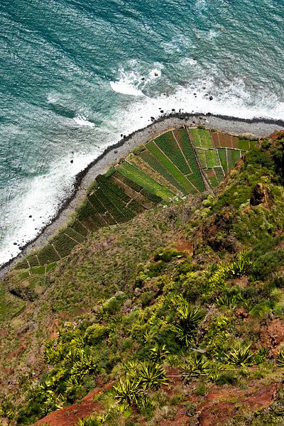 Cabo Girão - Câmara de Lobos, Madère par Nynke Altenburg