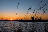 Zonsopkomst Munnikenpolder van Photography by Cynthia Frankvoort thumbnail