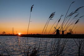 Zonsopkomst Munnikenpolder van Photography by Cynthia Frankvoort