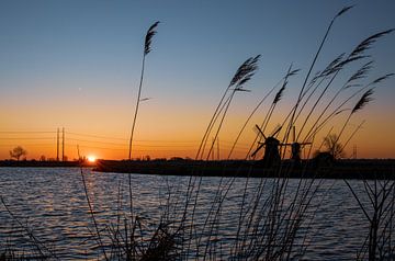 Lever du soleil sur le Munnikenpolder sur Photography by Cynthia Frankvoort