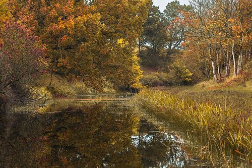 Herfstrust in Oranjezon