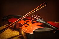 Violin