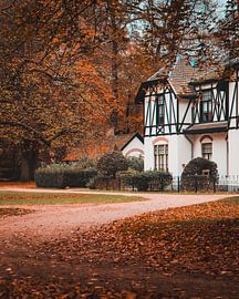 Charmant chalet forestier en automne