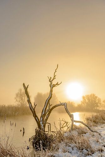 IJssel winterlandschap met sneeuw en mist