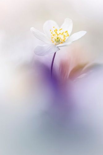 Just enjoy this beauty