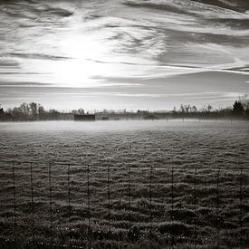 landschap in rijm II sur Toon Maes