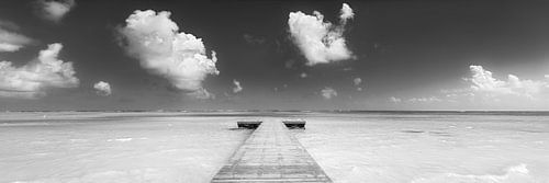 Loopbrug op het strand in het Caribisch gebied in zwart-wit.