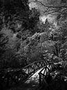 Mount Olympus by José Lugtenberg thumbnail