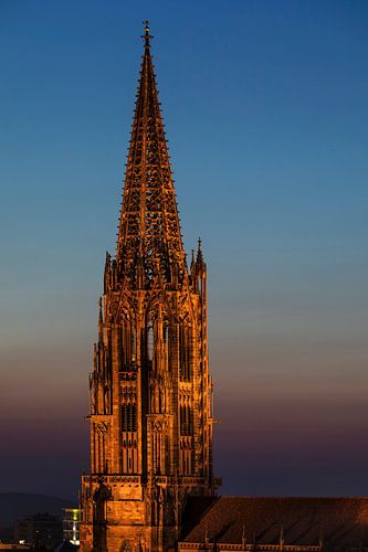 Freiburg Cathedral by night