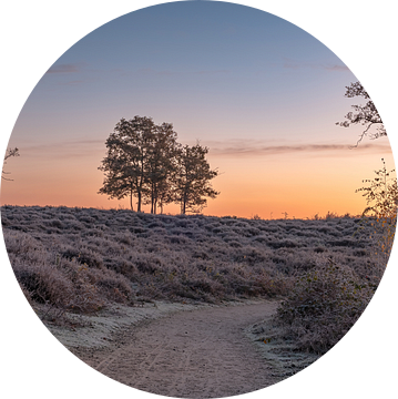 Hatertse en Overasseltse vennen part 25