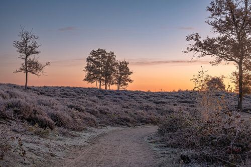 Hatertse en Overasseltse vennen part 25