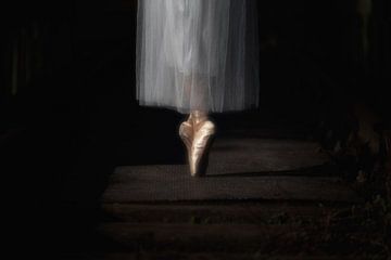 Die Ballerina von Maikel Brands