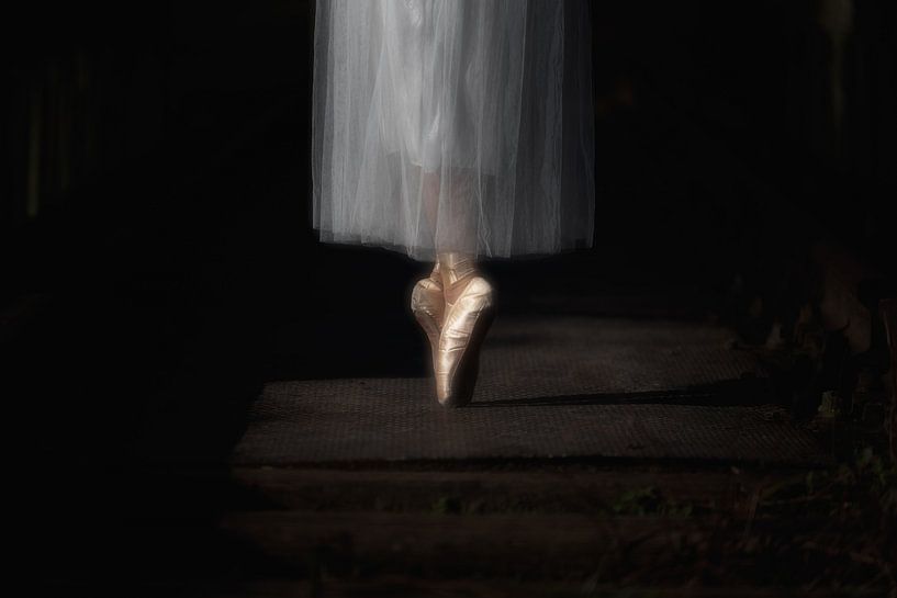 The Ballerina by Maikel Brands