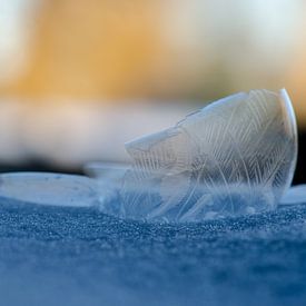 Winter - Bevroren zeepbel VII van Gerben van den Hazel