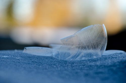 Winter - Frozen bubble II