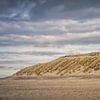 Texel (1) sur Patrick Vischschraper