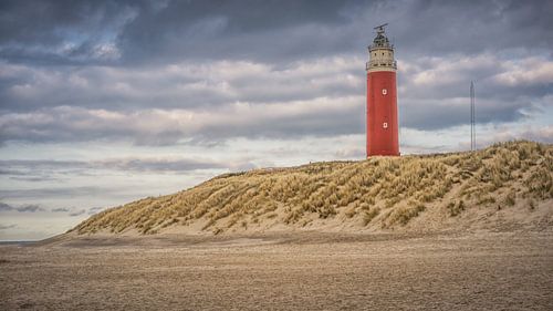 Texel (1) sur Patrick Vischschraper