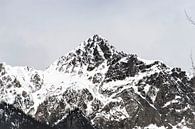 Canada mountians van Mooi-foto van Well thumbnail