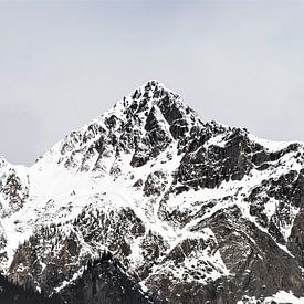 Canada mountians van Mooi-foto van Well