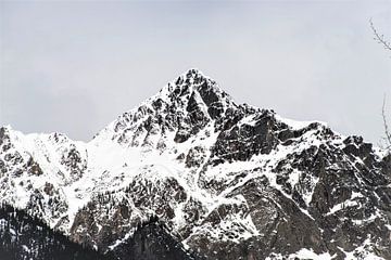 Canada mountians van Mooi-foto van Well