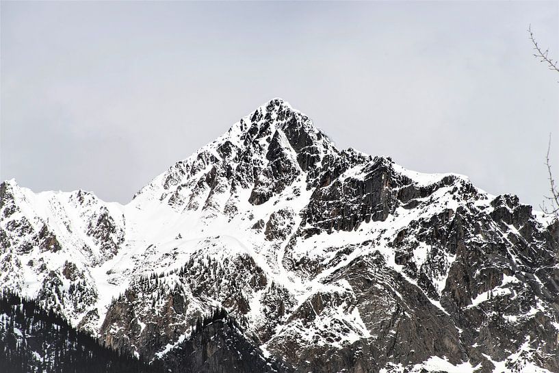 Canada mountians van Mooi-foto van Well