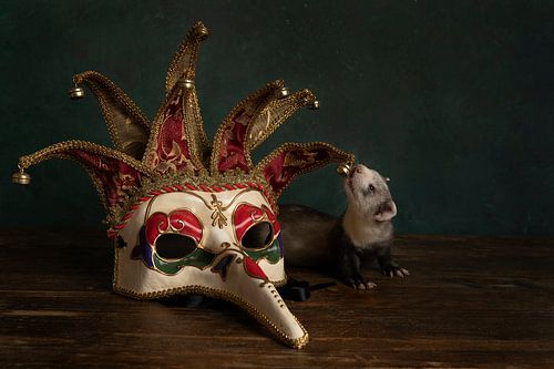 Stilleven van een fret pup met een Venetiaans of Carnavals masker tegen een groene achtergrond